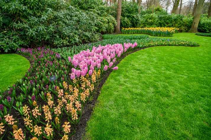 landscaping, landscape gardening, garden maintenance