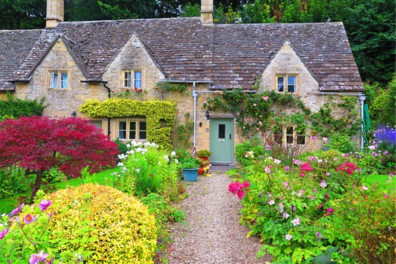 Expert Gardening Tips
