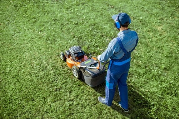Garden Maintenance Services